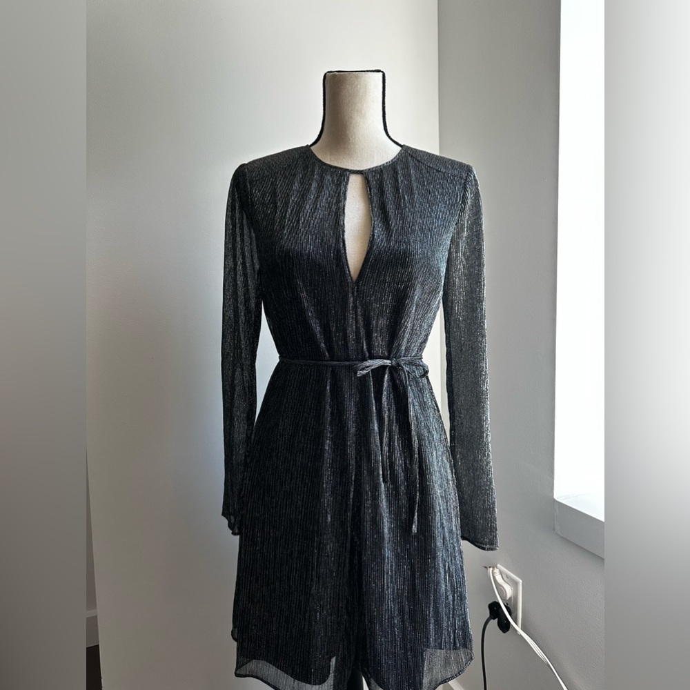 Sparkly Pins & Needles Long Sleeve Mini Dress
